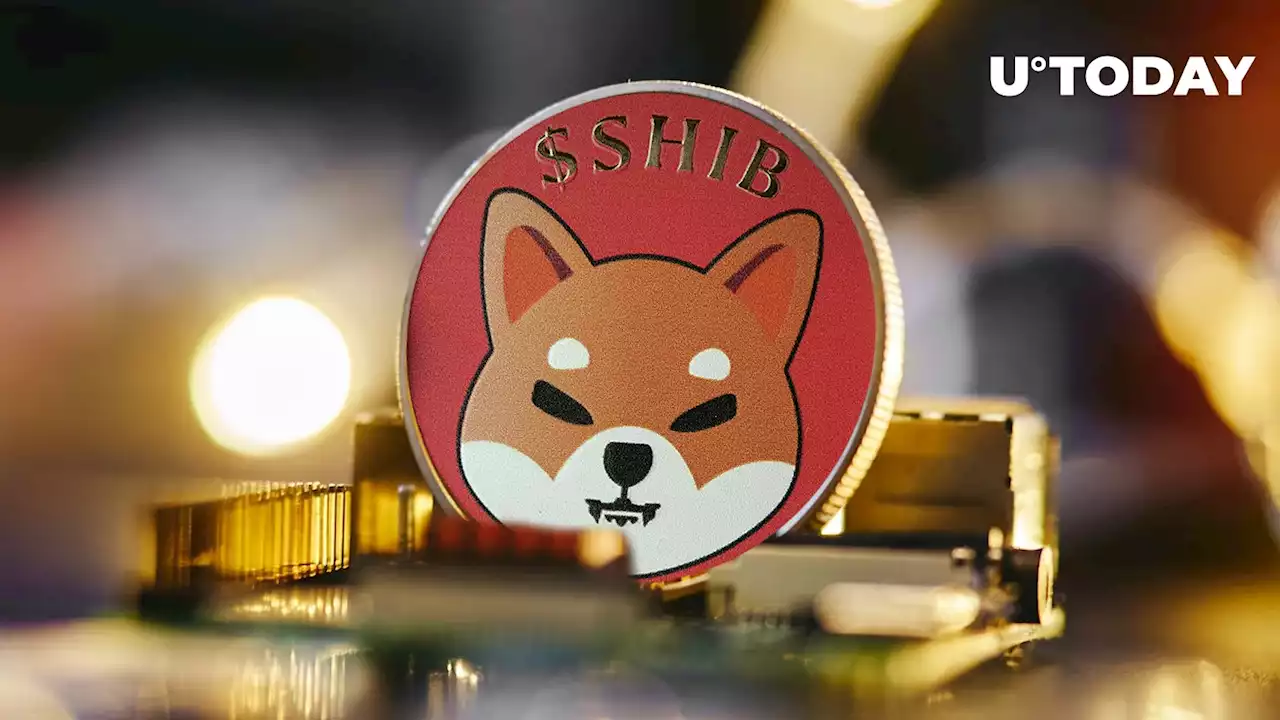 Shiba Inu (SHIB) Giveaway Announced, Here's What It's For