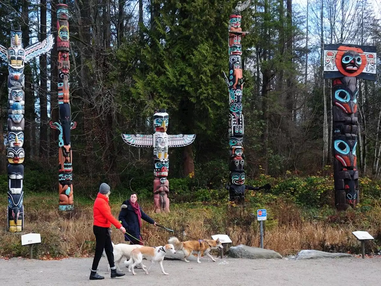 Letters to the Sun: Readers discuss the problem of car congestion in Stanley Park