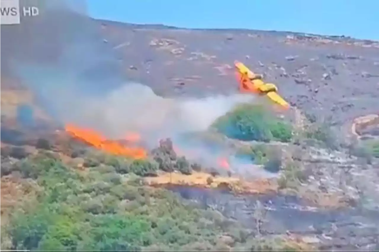 Un avión se estrelló mientras combatía los incendios en Grecia