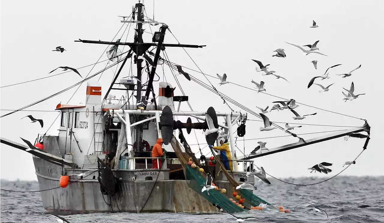 Congress backs fishermen over feds in Supreme Court battle, tells justices to curb bureaucracy