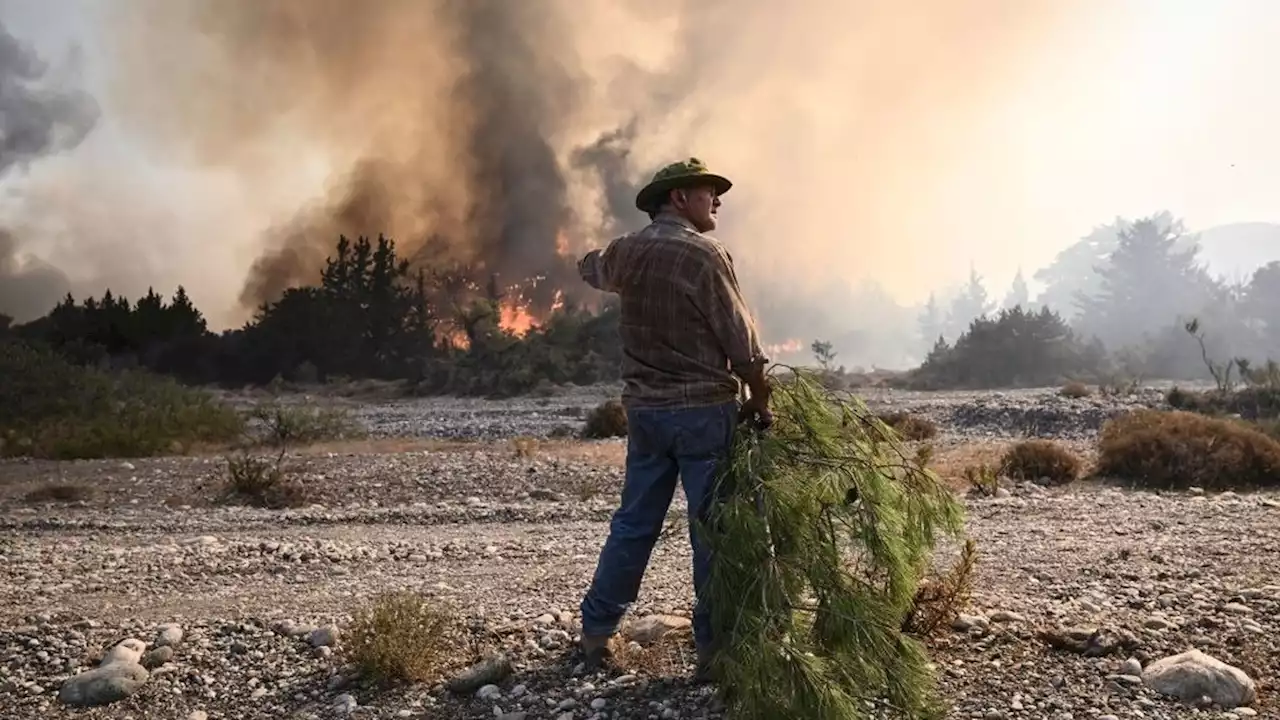 Hitze, Waldbrände, Unwetter: Darum sträuben wir uns trotzdem gegen Klimaschutz