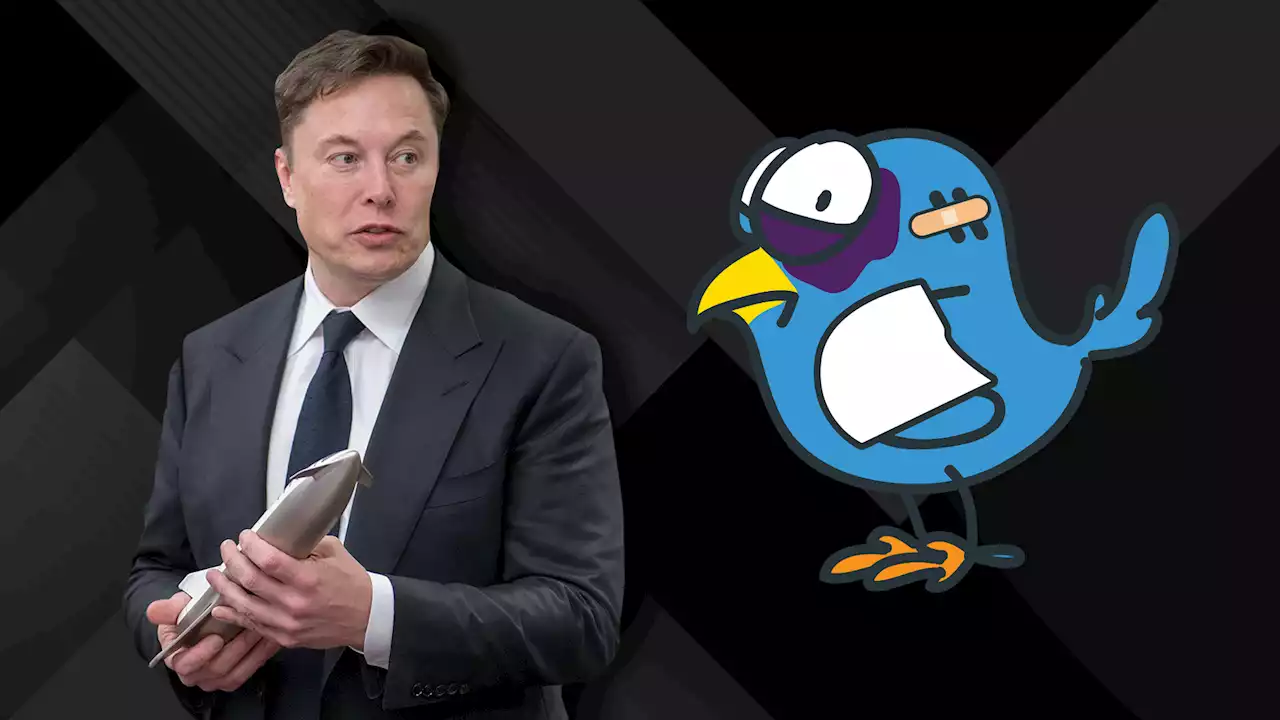 Musk erklärt, was er mit X vorhat - und warum Twitter 'zu klein' wurde