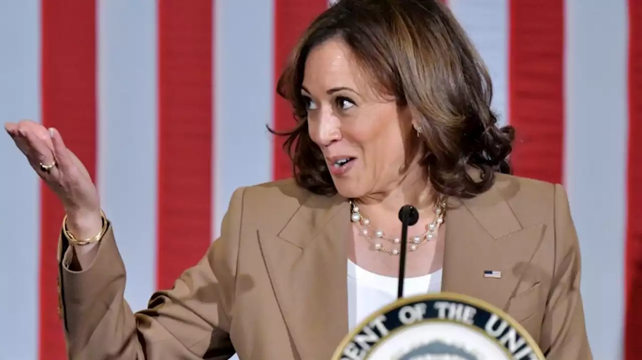 Vice President Harris leans into attack dog role