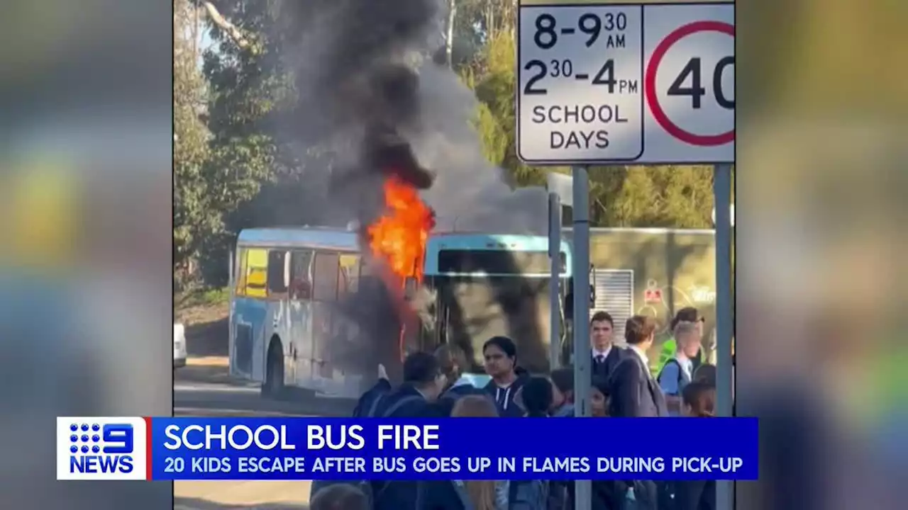 School bus catches fire in Sydney's south