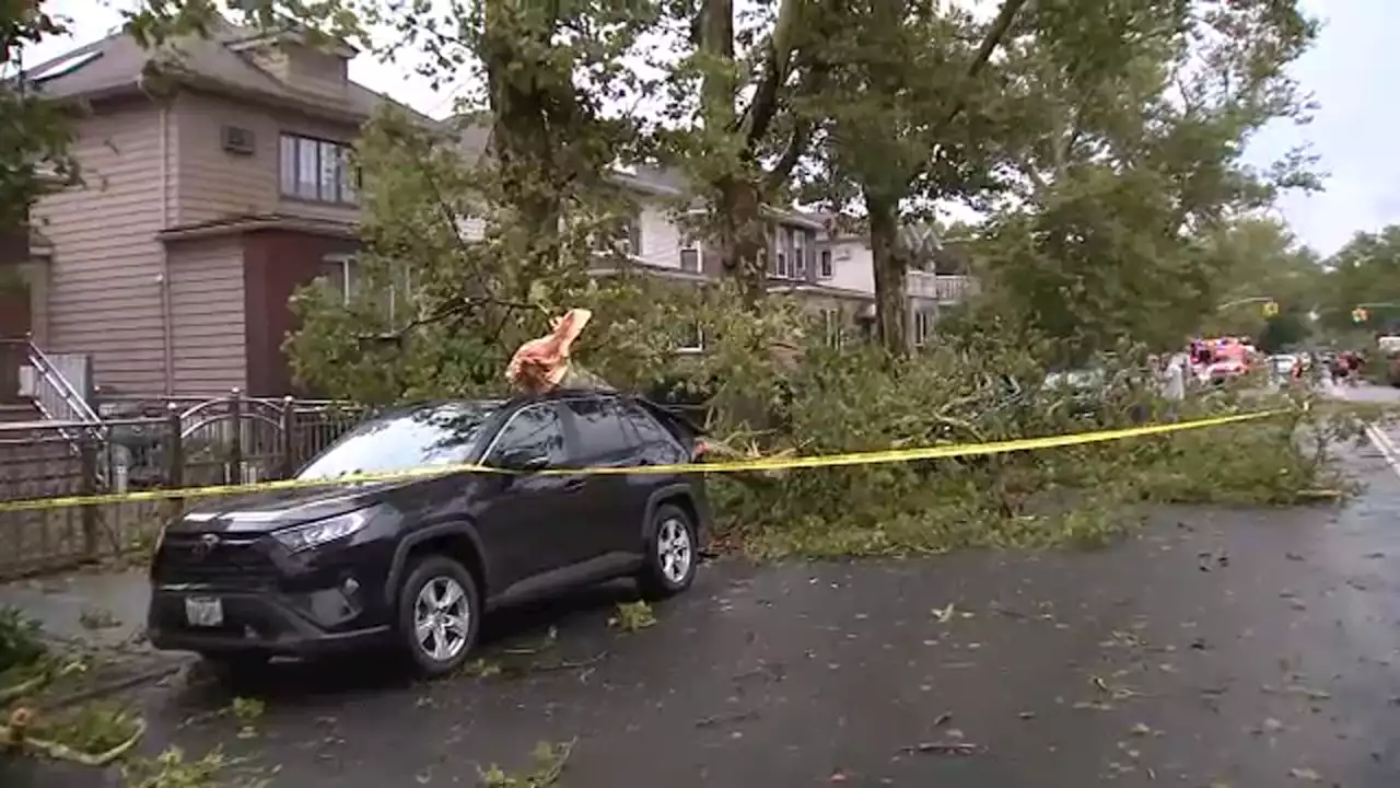 Dangerous storms bring down dozens of trees, trigger flooding across the Tri-State