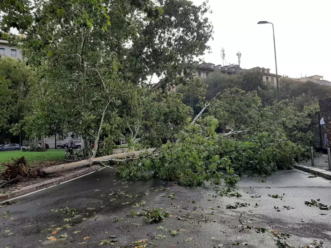 A Milano torna il sole dopo una notte di interventi - Notizie - Ansa.it