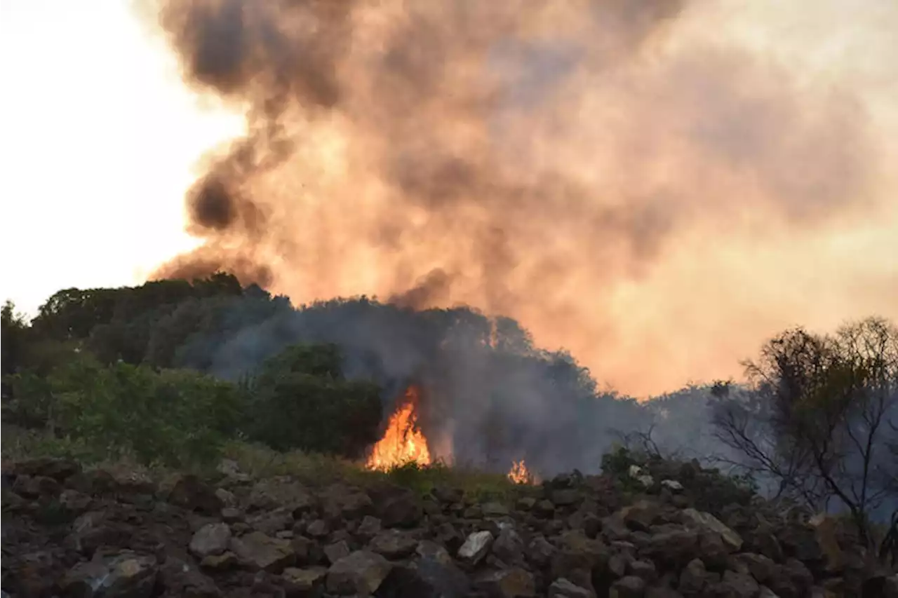 Incendi, notte di lavoro per Vigili del fuoco e corpo forestale in Sicilia - Notizie - Ansa.it