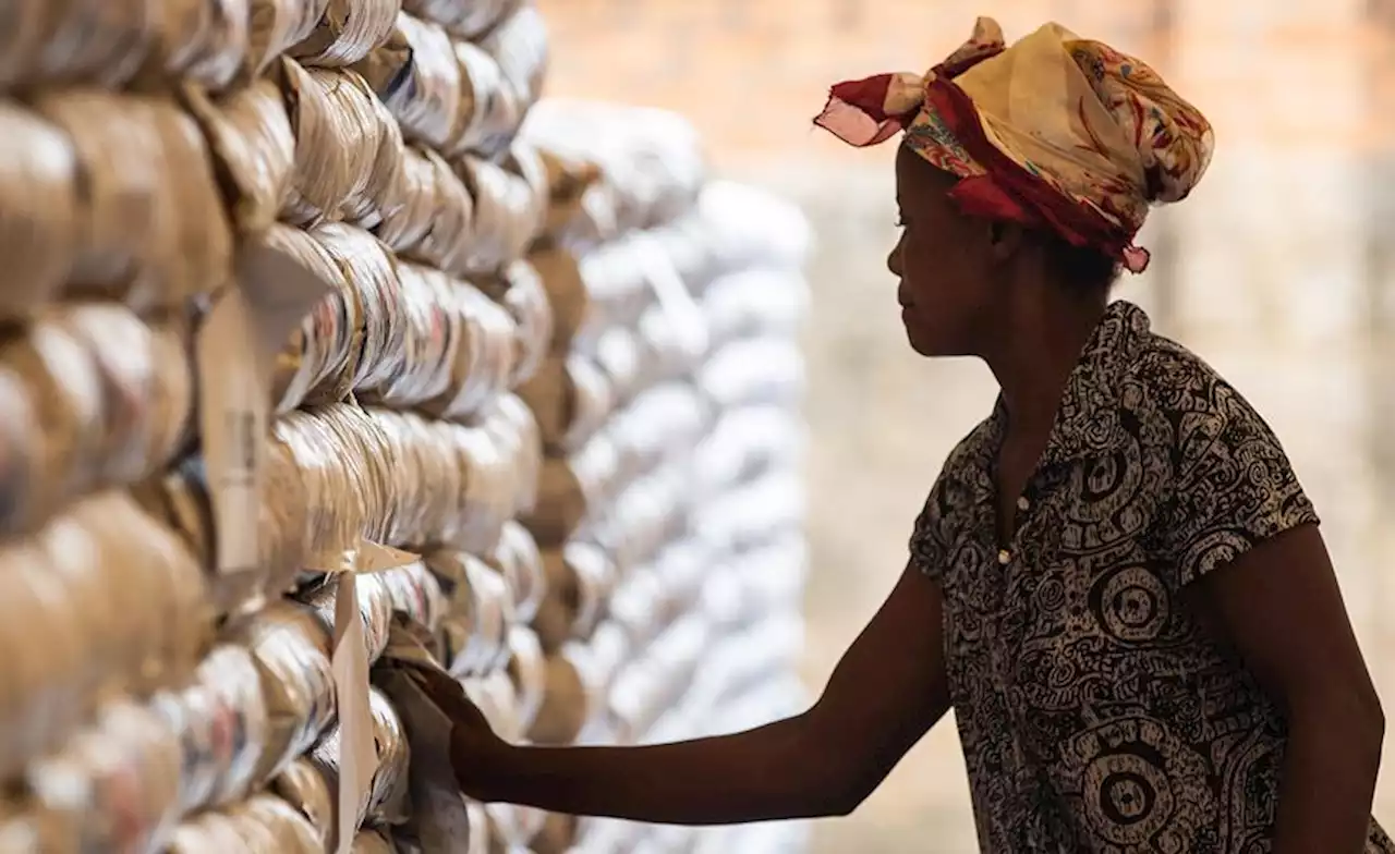 Africa: Food Crisis in Africa - the High Cost of Imported Fertilisers Is Adding to the Problem