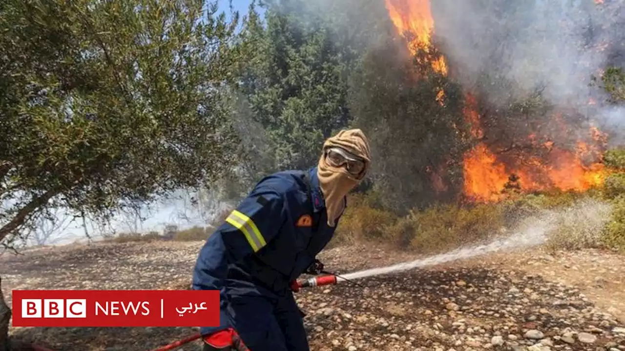 موجات الحر: حرائق الغابات المميتة في البحر المتوسط تقتل أكثر من 40 شخصا - BBC News عربي