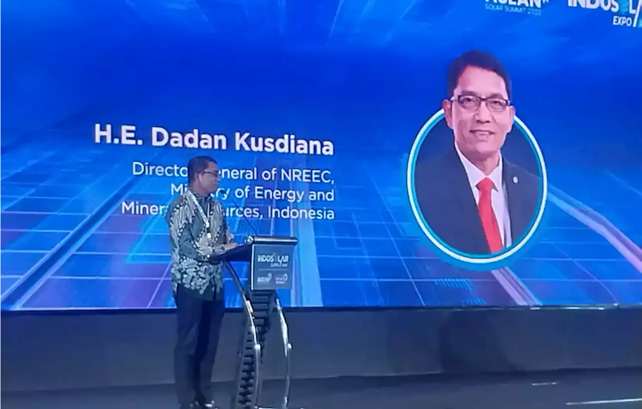 Indonesia Segera Bangun Industri Panel Surya Terintegrasi