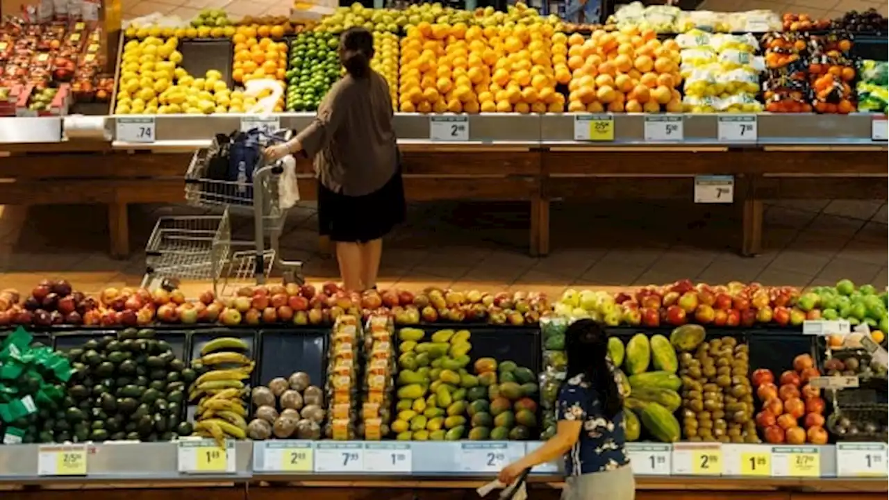 Sales at Loblaws and Shoppers Drug Mart continue to grow, helping boost profit to $508M | CBC News