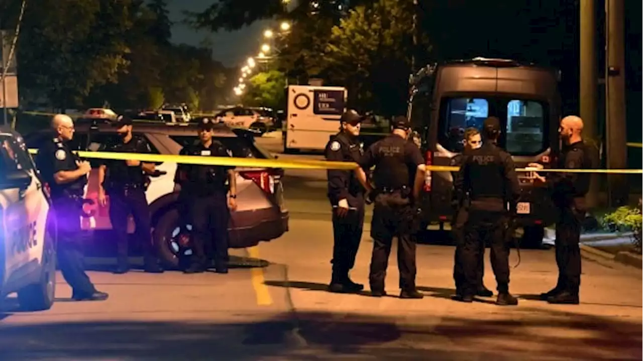 Toronto police dog shot dead during search for armed suspect | CBC News