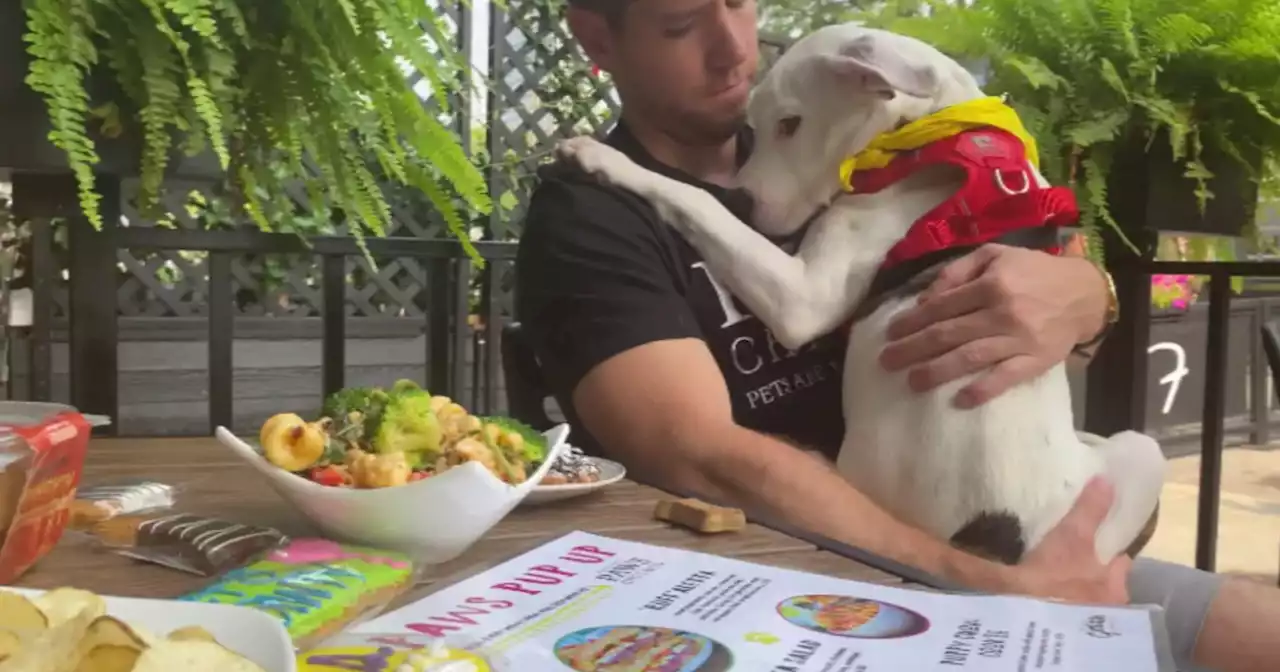 The Goddess and Grocer offering 'pup-up' menu to benefit PAWS Chicago