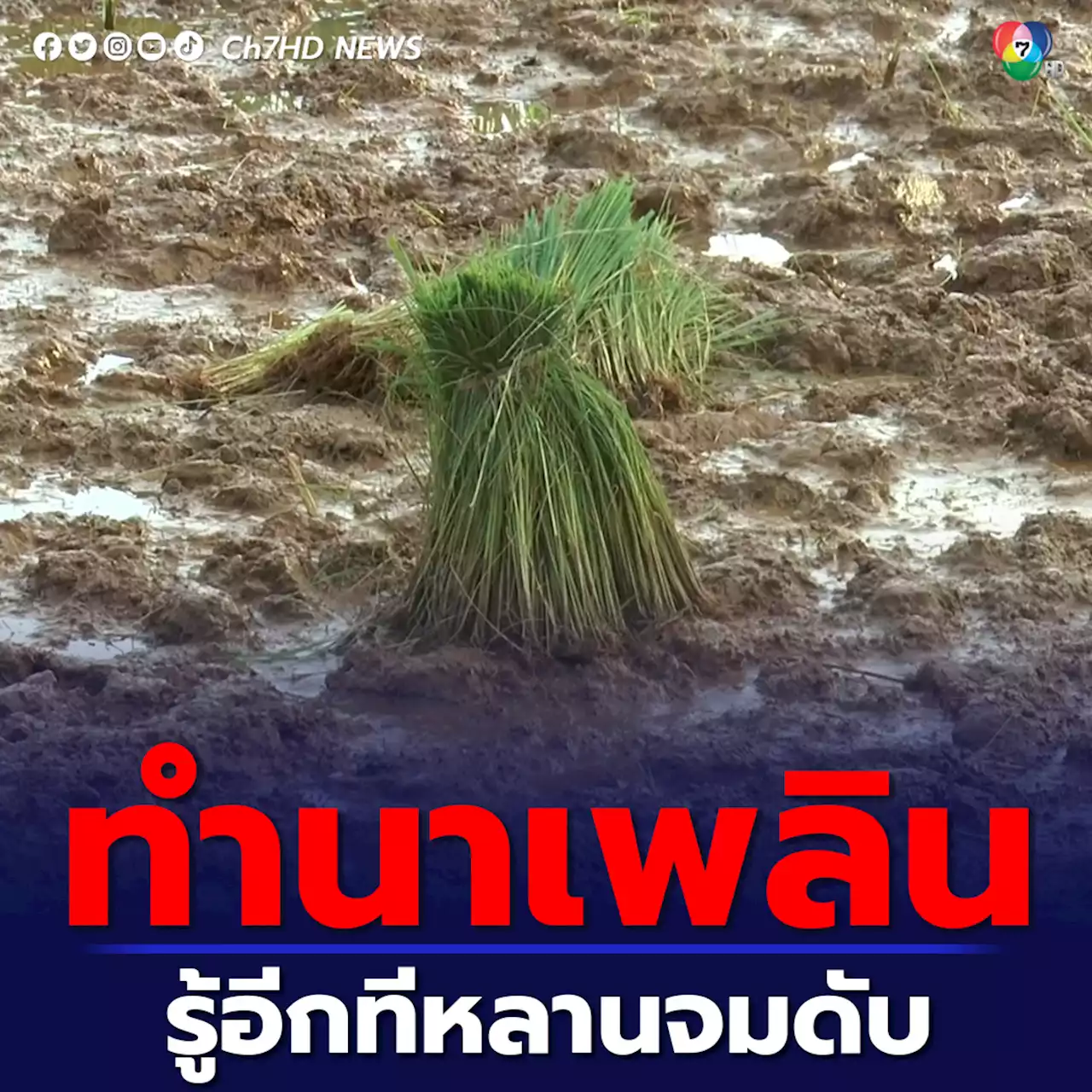 ย่าสุดเศร้า! เผลอทำนา หลาน 4 ขวบ แอบลงเล่นสระน้ำจมดับ