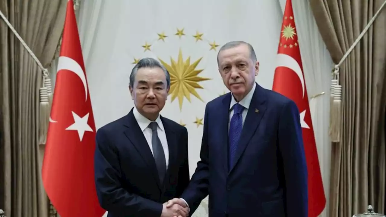 New Chinese foreign minister Wang Yi talks Ukraine in Türkiye on first trip