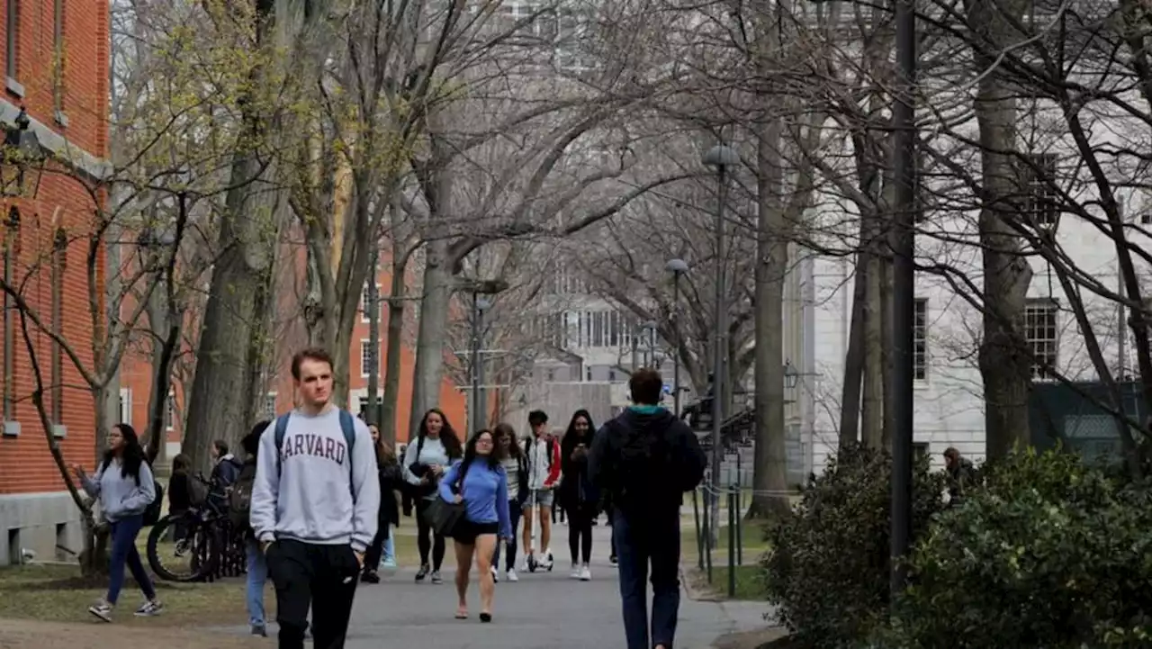 US probe opened over Harvard's 'legacy' admissions policy