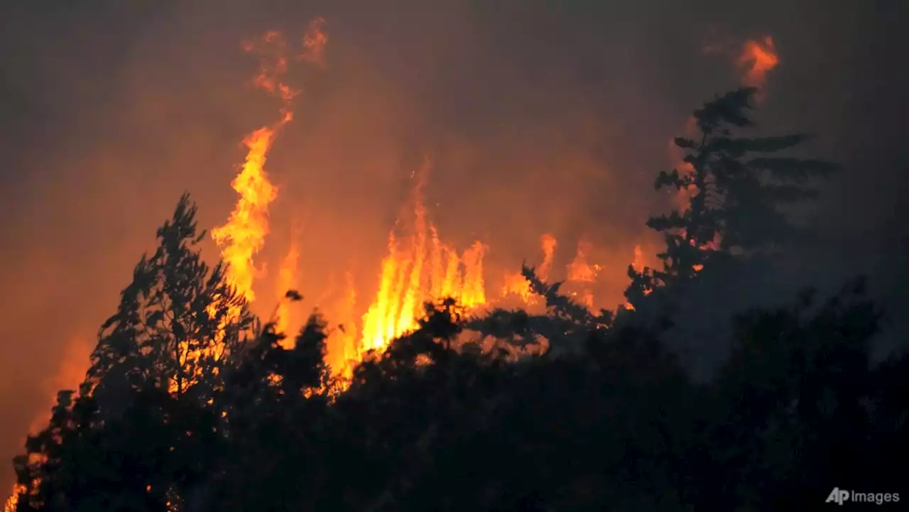 Wildfires bring death and destruction to sun-scorched Mediterranean