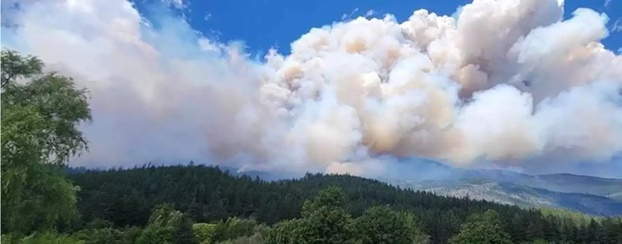 B.C. firefighters bolstered by international help work to tame dozens of wildfires