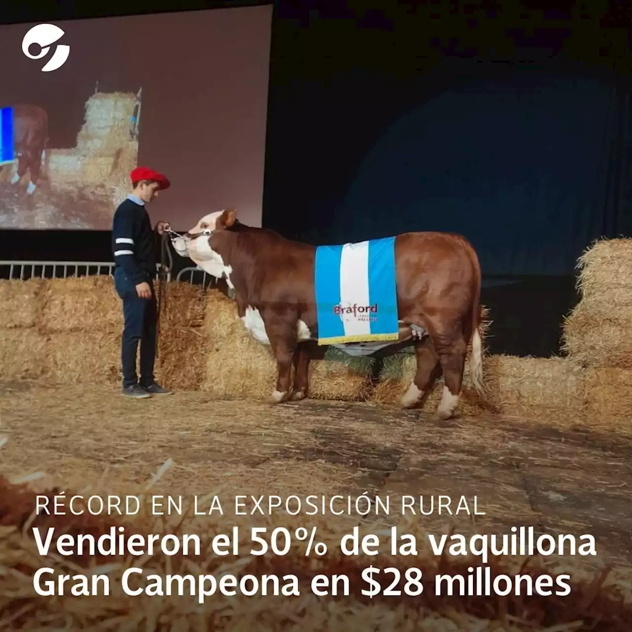 Récord en la Exposición Rural: vendieron el 50% de la vaquillona Gran Campeona en $28 millones