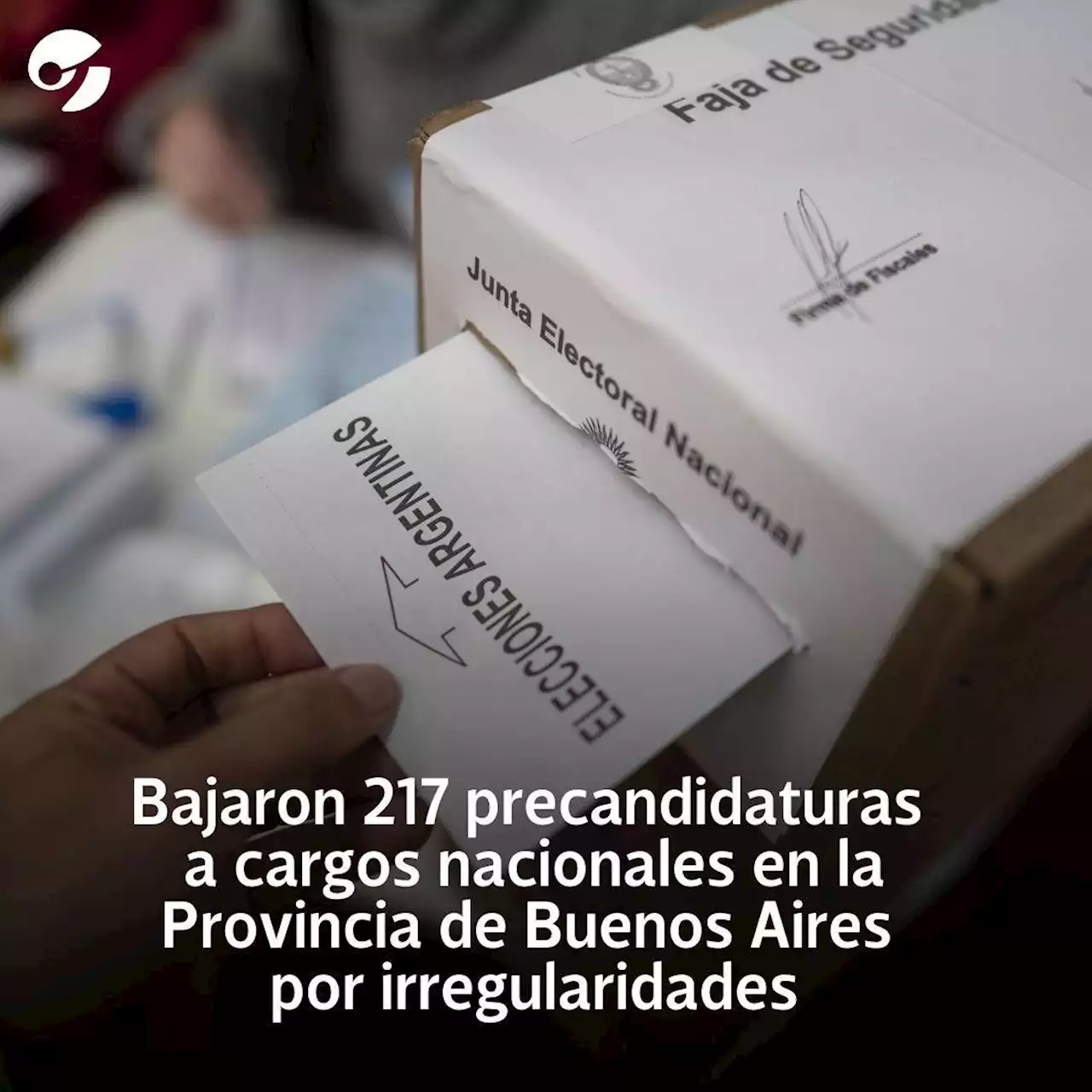 Bajaron 217 precandidaturas a cargos nacionales en la Provincia de Buenos Aires por irregularidades