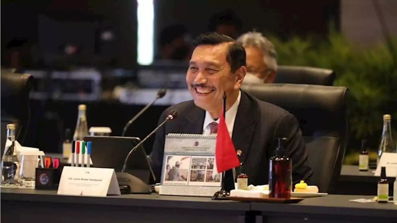 Mau Gak Mau, Luhut: Presiden Berikutnya Lanjutkan Aksi Jokowi