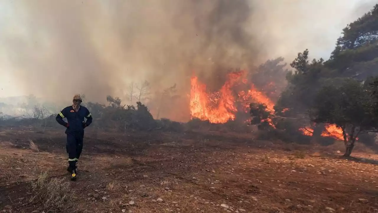 Grèce : plus de 500 pompiers toujours mobilisés contre les incendies qui ravagent le pays