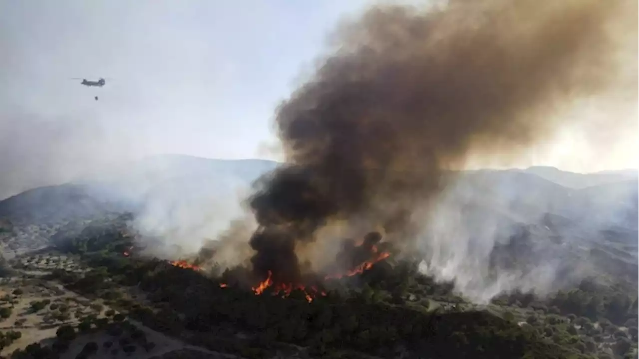 Crash of plane fighting Greek island wildfire kills both pilots as Italian blaze claims 2 lives