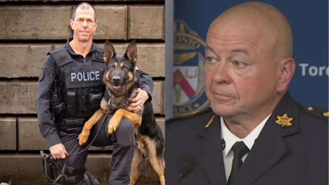 WATCH: Chief comments on K9 dog named Bingo that was killed in the line of duty