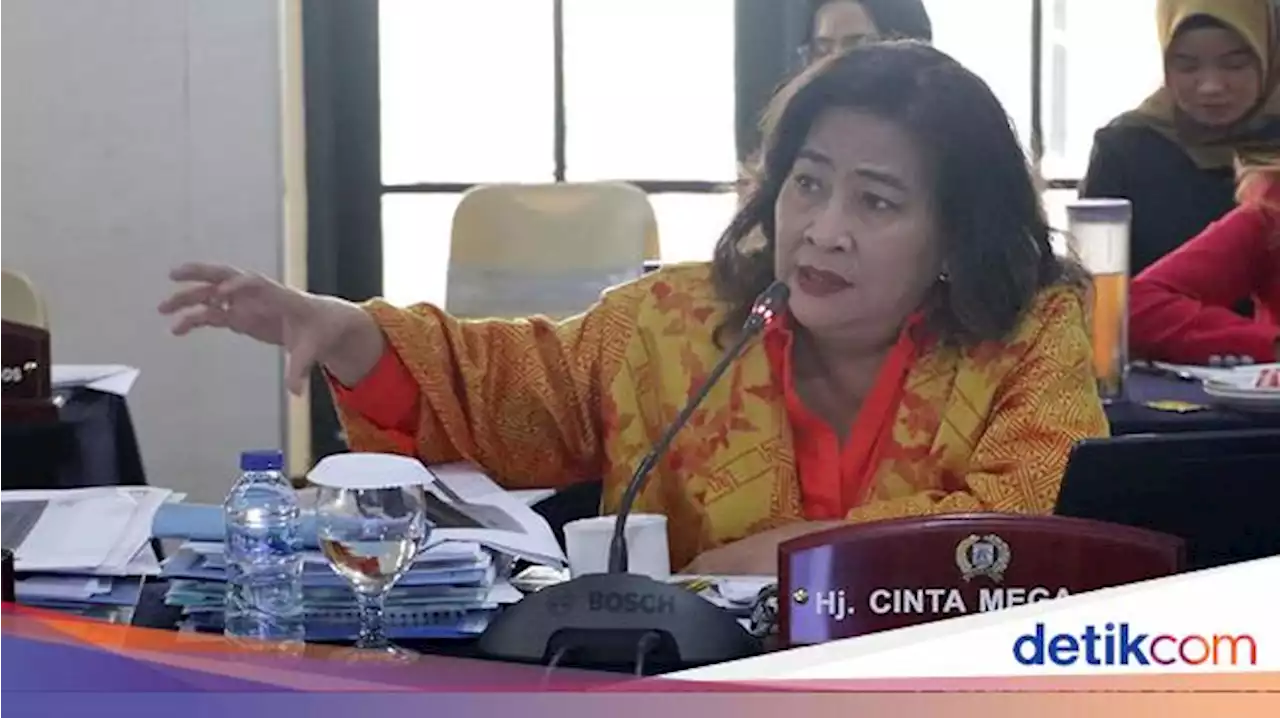 Dipecat dari DPRD DKI, Cinta Mega Tak Lagi Terima Gaji Segini