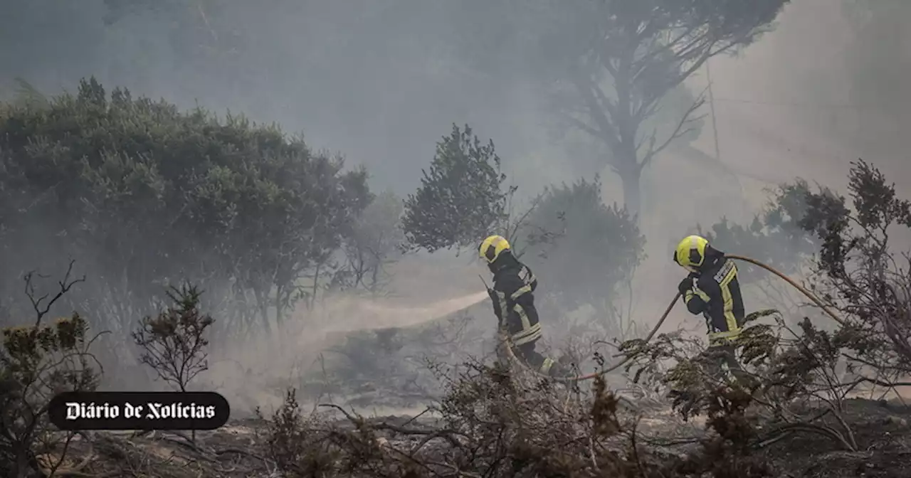 Incêndio em Cascais dado como dominado e circulação na A5 retomada