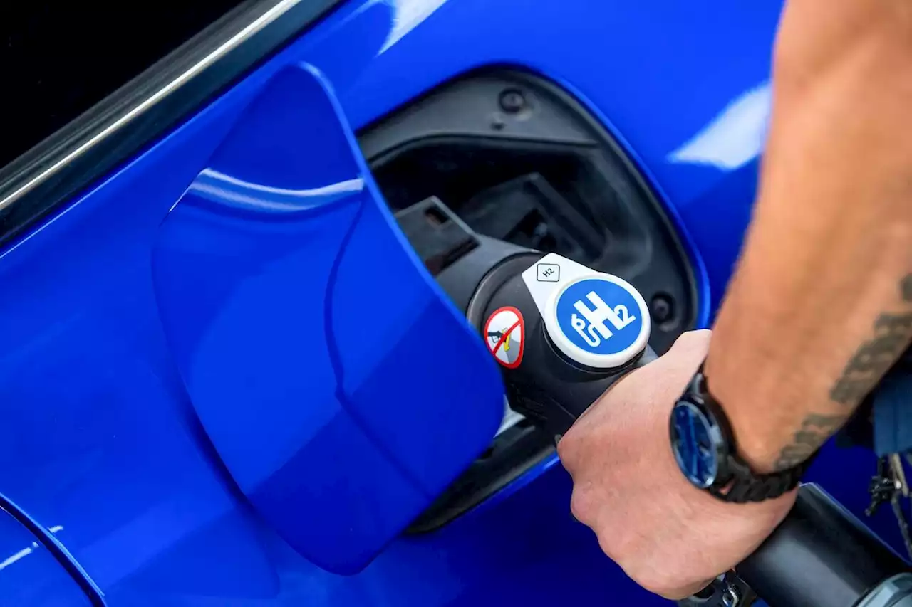 Germany Plans to Rely on Imports for Bulk of Hydrogen Supplies