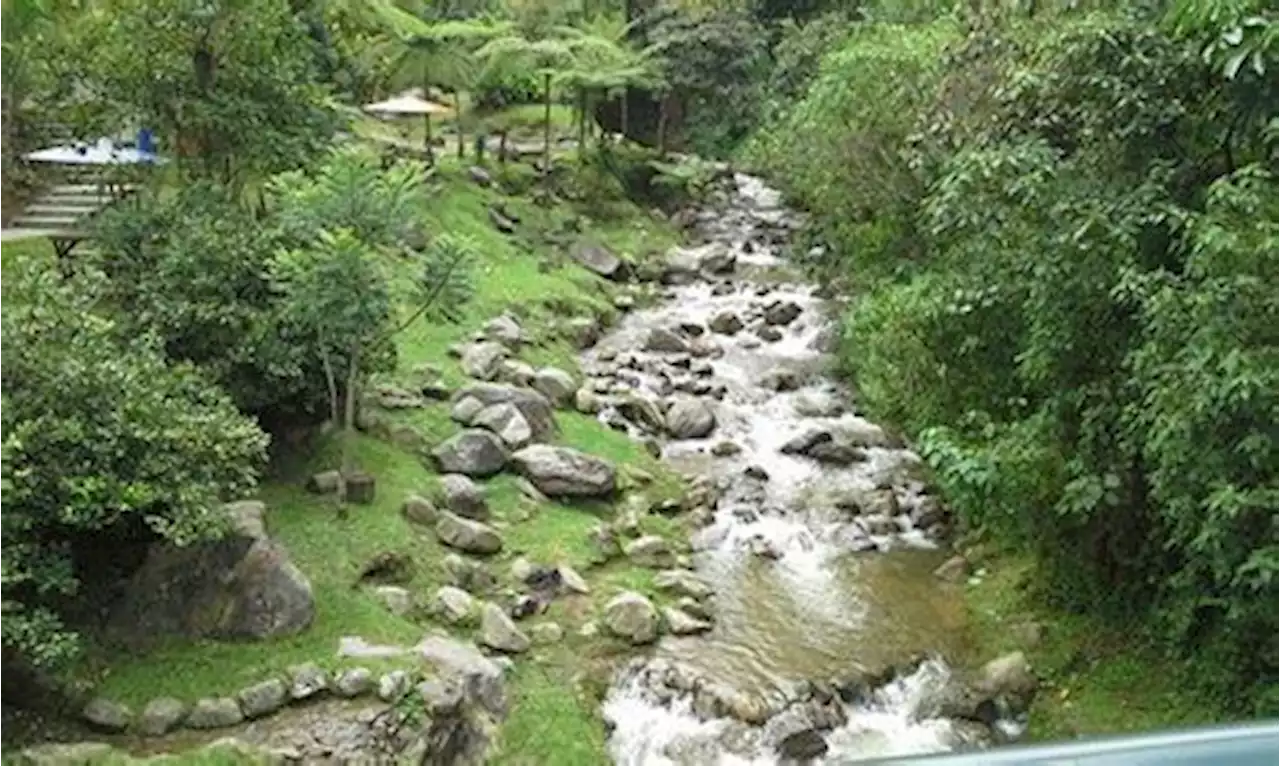 Los amarraron y vaciaron sus cuentas: el relato de la pesadilla que vivió grupo de caminantes en parque El Salado de Envigado