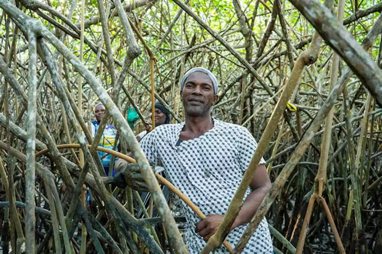 El hombre que cuida y vive del manglar