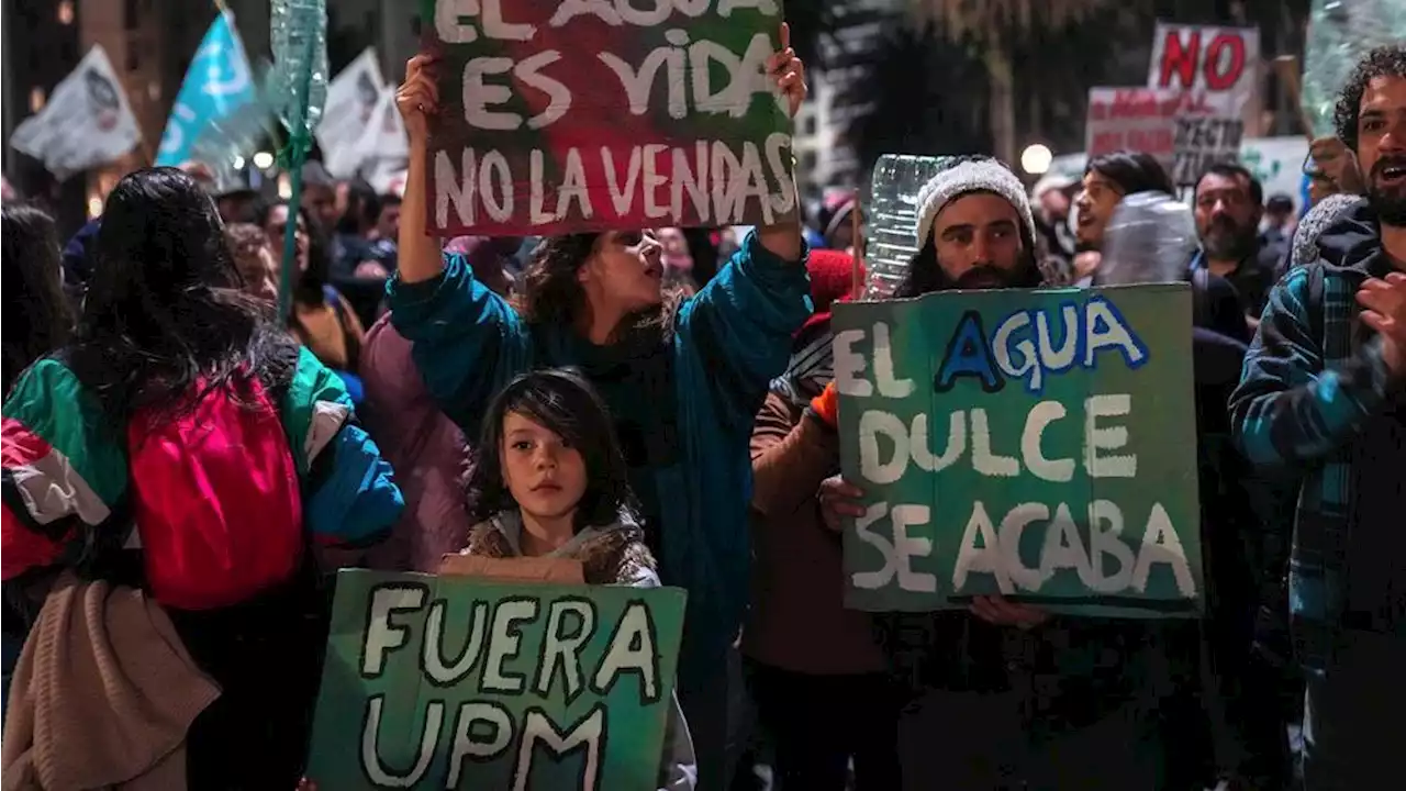 De nordiska skogsbolagen skapar vattenkris i Uruguay