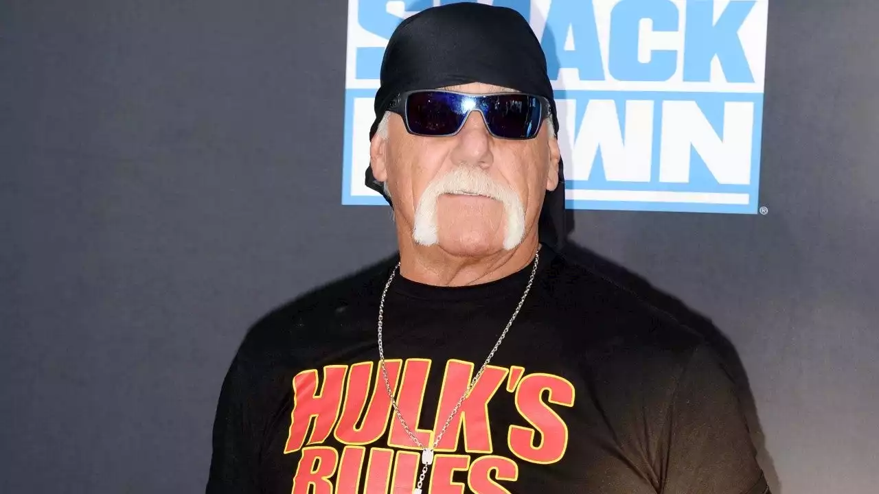 Hulk Hogan is Engaged to Sky Daily After Over a Year of Dating