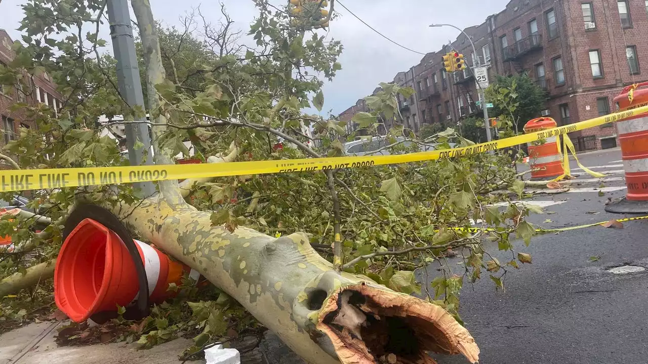 Residents react after 'microburst' rips through parts of Brooklyn