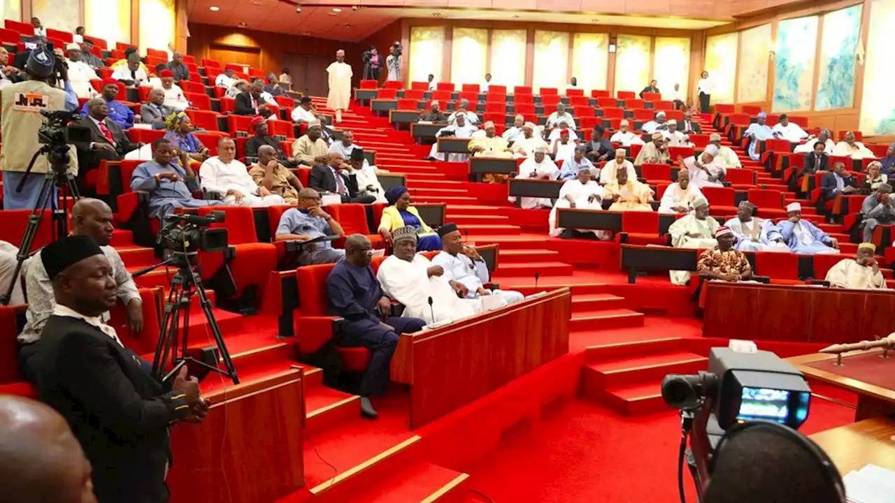 Senate asks FG to extradite Simon Ekpa, condemns sit-at-home in Southeast | The Guardian Nigeria News - Nigeria and World News