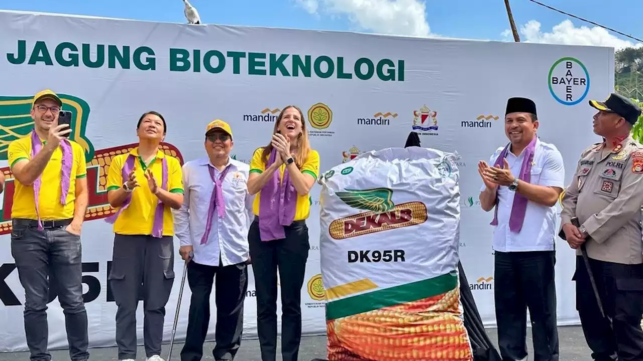 Benih Bioteknologi Tingkatkan Produksi Jagung Nasional