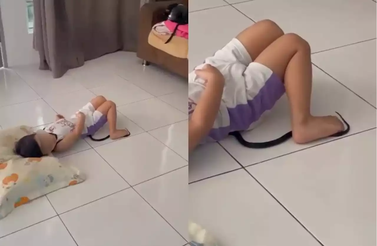 (Video) Venomous Snake Found Slithering Underneath Toddler In Perak - Hype MY