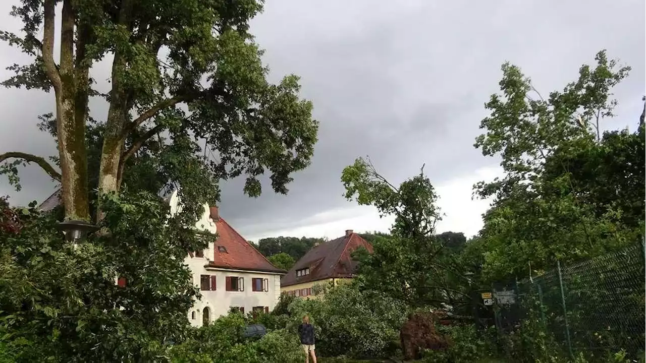 Wirbelsturm fegt durch Burghausen: Mehrere Bäume entwurzelt und Autos beschädigt