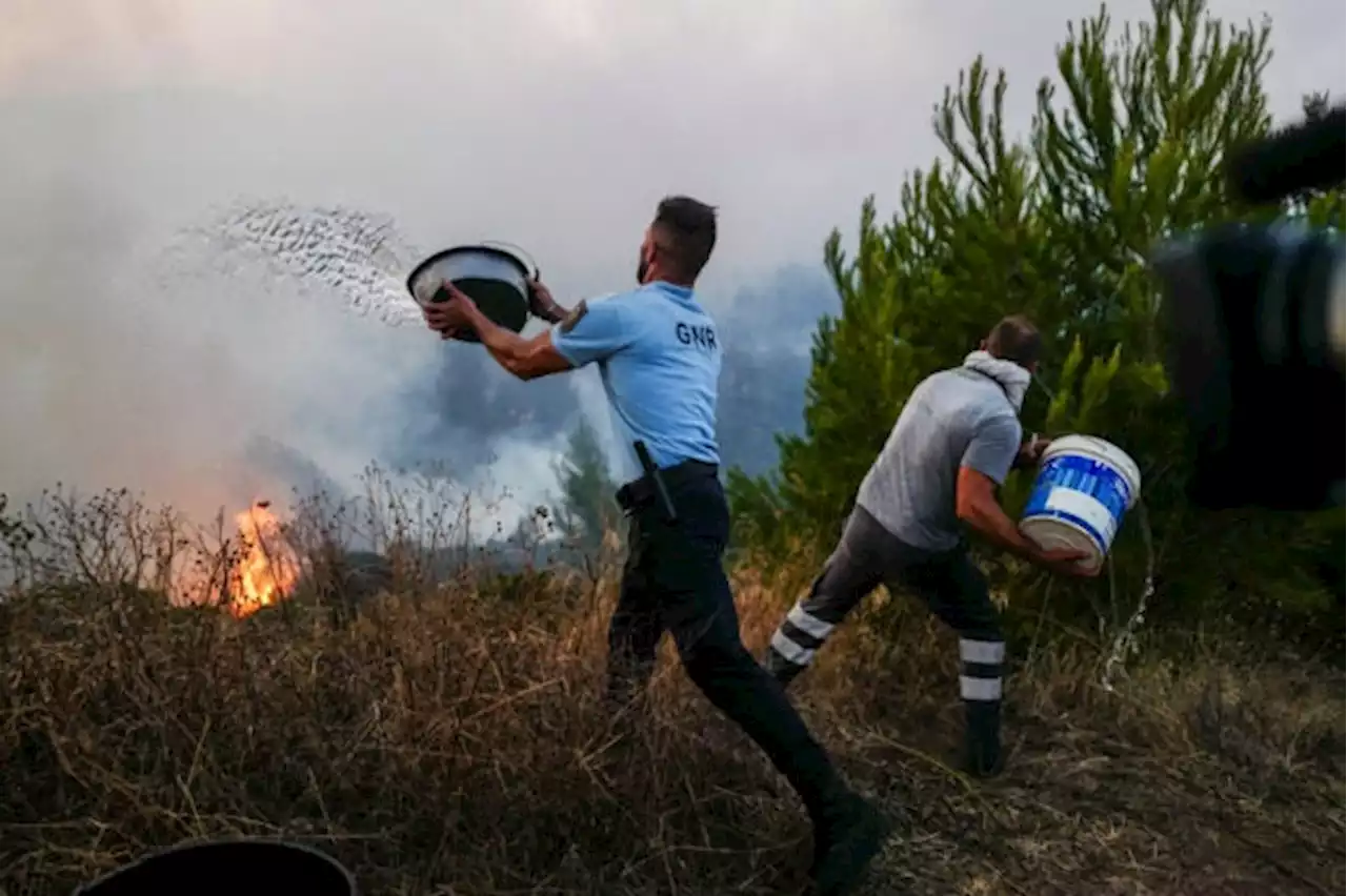 Hundreds of firefighters scramble to put out Portugal wildfire