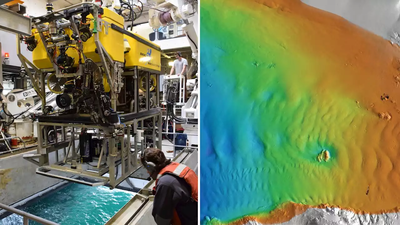 Engineers map underwater marvel in the Pacific Ocean to stunning centimeter-scale