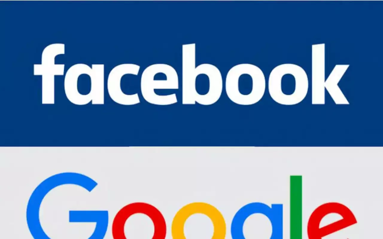 Google e Facebook devem retirar anúncios falsos sobre o Desenrola | Economia | O Dia