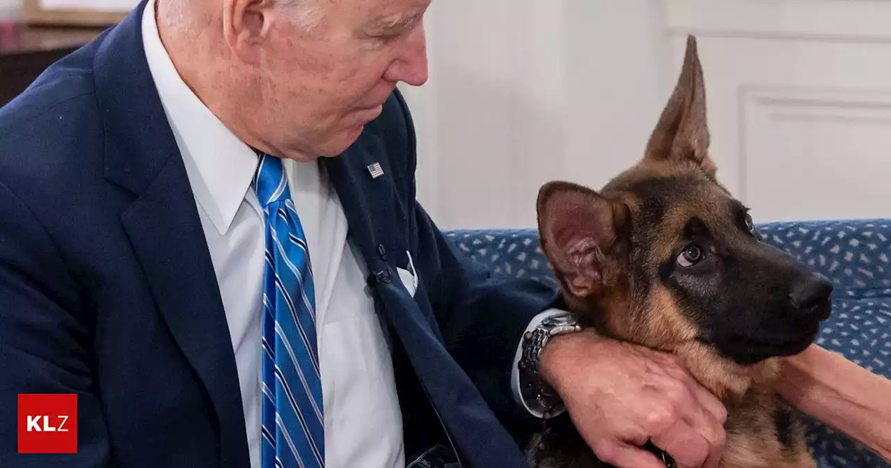 Tierische Probleme: Hund von US-Präsident Biden soll Personal gebissen haben