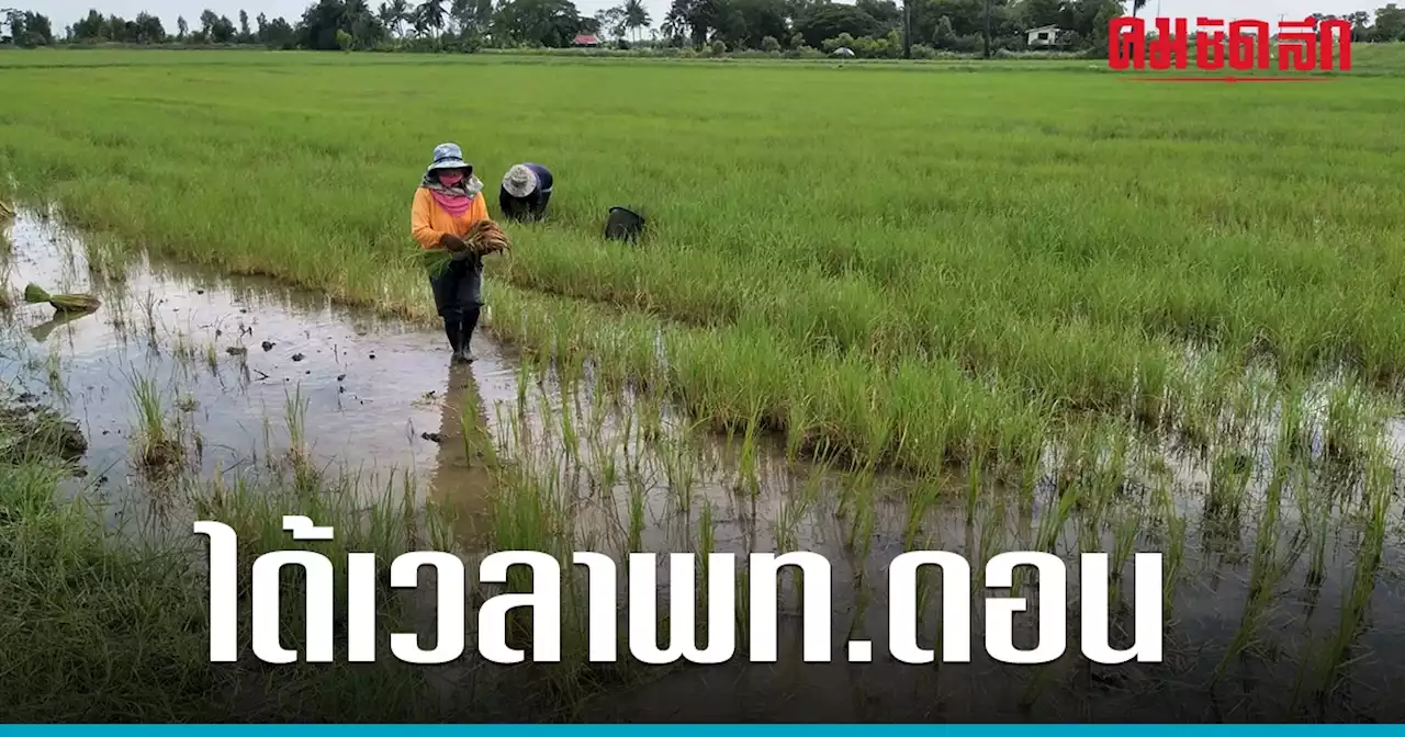 'กอนช.' พยากรณ์ ผ่านฝนทิ้งช่วง ได้เวลาที่ดอนทำนาปี -พท.ลุ่มต่ำแนะงดทำนา