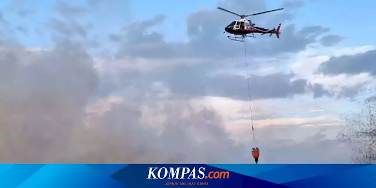 425,3 Hektar Lahan di Kalsel Terbakar, BNPB Sebut Bisa Semakin Parah akibat El Nino