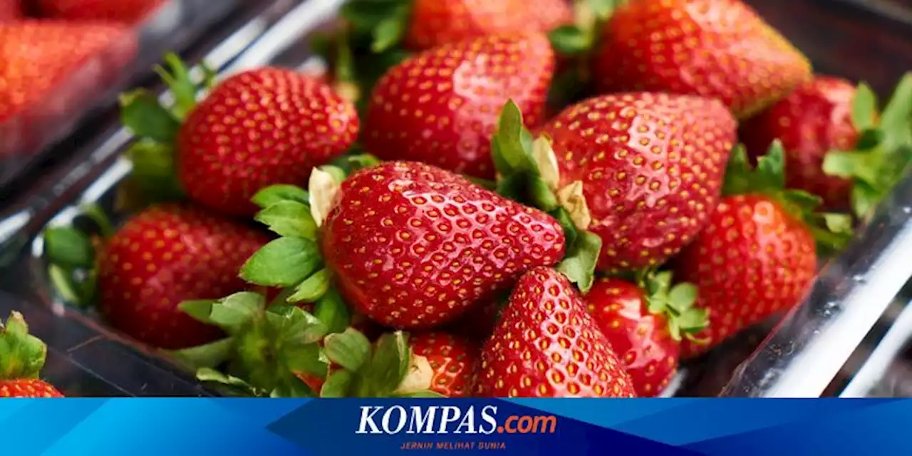 Apakah Makan Buah Membantu Tubuh Tetap Terhidrasi?