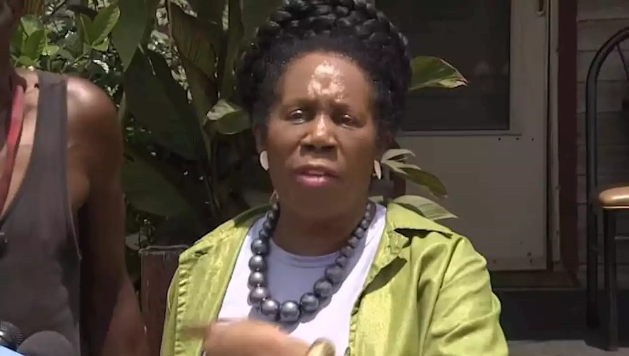 Congresswoman Sheila Jackson Lee proposes ‘transferring’ inmates out of county jail, seeks federal funds