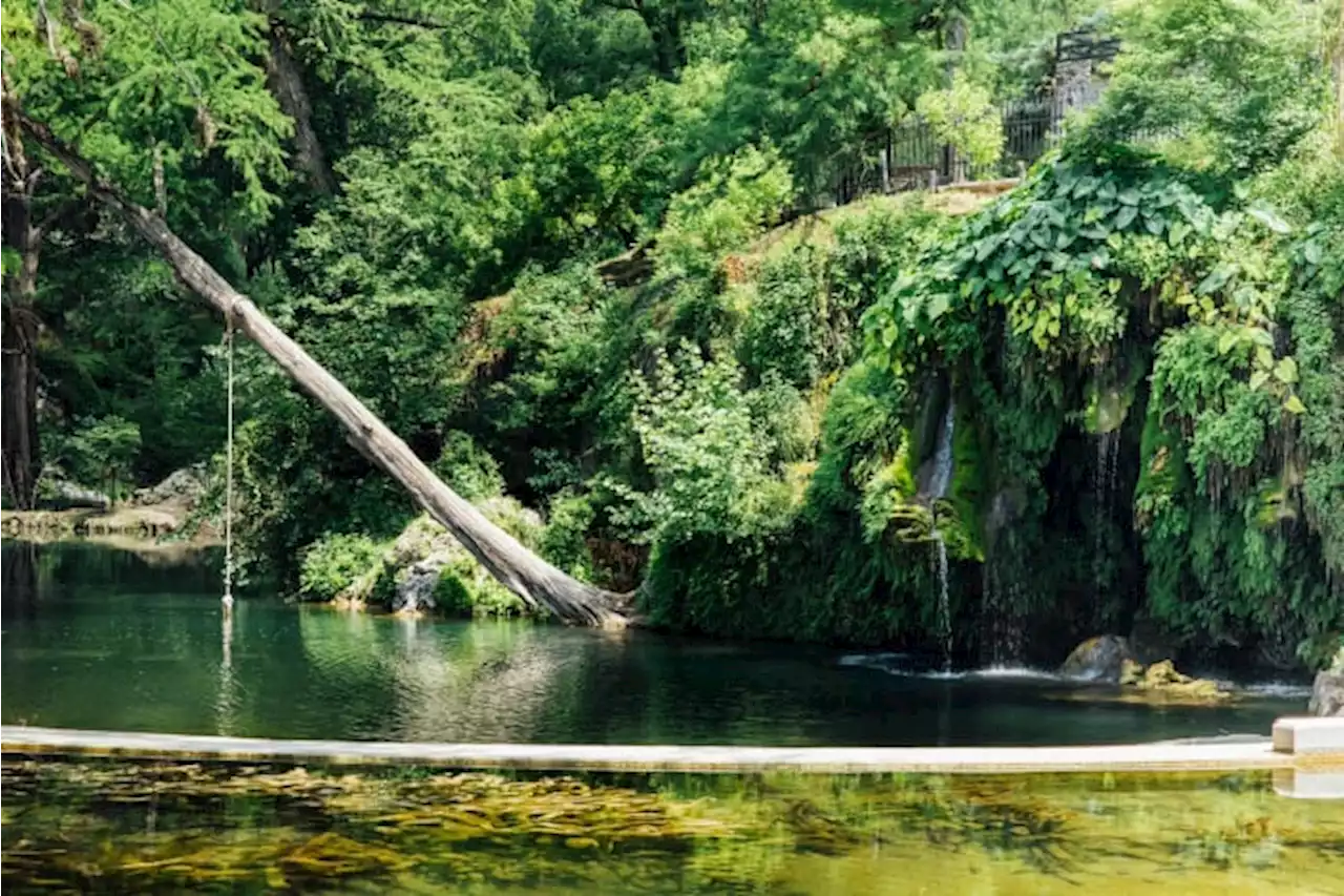 Swim in spring-fed pools, chill under Texas waterfall at Krause Springs