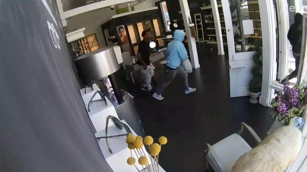 Designer eyewear store in SF hit by thieves 6th time in 8 months, owner shares video